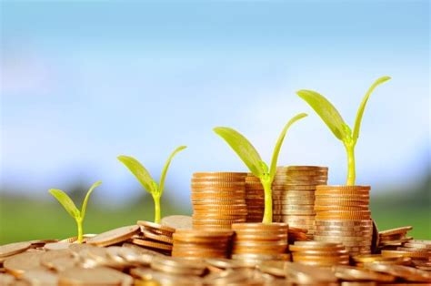 Impacto en la Economía Local