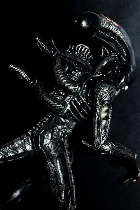 Image result for Alien Battle Macfaren