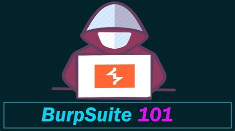 Burp Suite Professional - PortSwigger