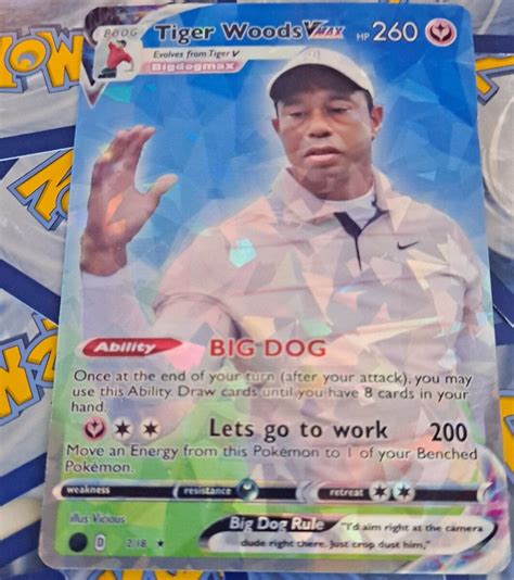 Tiger Beg Meme THE TIGER SITTING BEHIND THE DOOR BE LIKE Confession