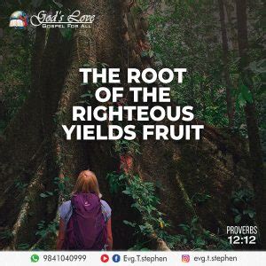 Proverbs 12:12 :: God's Love Ministries - Today's Promise