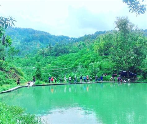 wisata daerah puncak