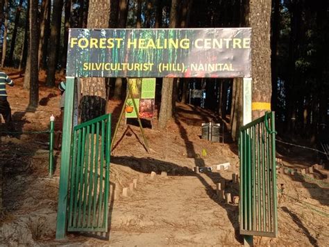 India's first forest healing centre inaugurated in Uttrakand's Ranikhet