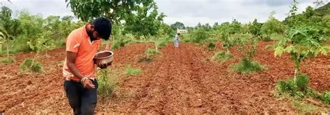 Farming Experience with Feel Good Stay