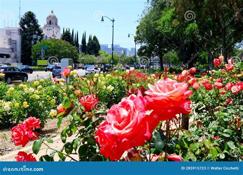 BEVERLY HILLS, California: Beverly Hills Rose Garden at Beverly Gardens ...