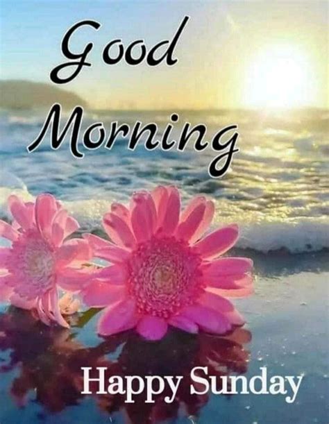 100 happy sunday wishes messages and quotes – Artofit