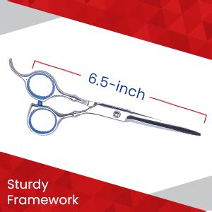Deejay Professional Salon Barber Hair Cutting Scissor Stainless Steel ...