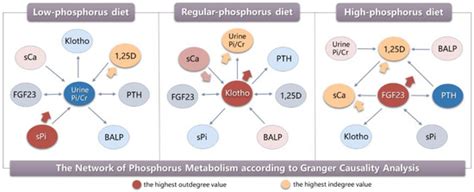 Focusing on Phosphorus Loads: From Healthy People to Chronic Kidney Disease