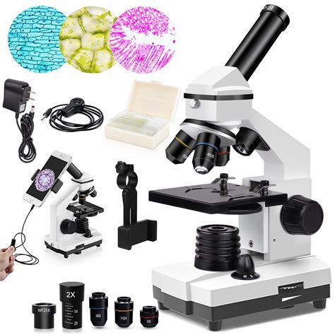 Buy Powerful Biological Micros for School Laboratory Home Education ...