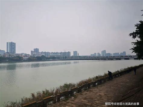 组图|越冬候鸟飞抵德阳旌湖 重装工业城成观鸟胜地_四川在线