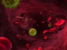 test per l hiv test per l hiv e terapia per l aids medicine ed effetti test per l hiv test per l hiv e terapia per l aids medicine ed effetti