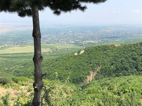 GEORGIAN PARAGLIDING FEDERATION (2026) All You Need to Know BEFORE You ...