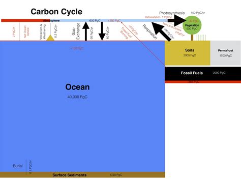 5. Carbon – Introduction to Climate Science
