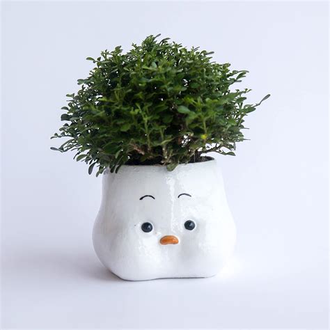 The Blue Concept's Cute Bird Succulent Planter and Pen stand, Office ...