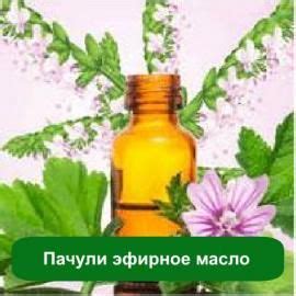 Эфирное масло Пачули оптом купить в Мыло Опт | Украина