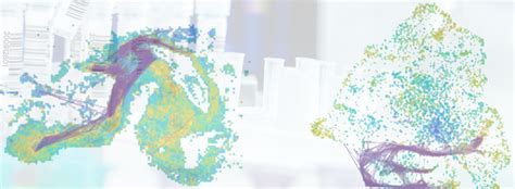 Spatial Transcriptomic Map 的图像结果
