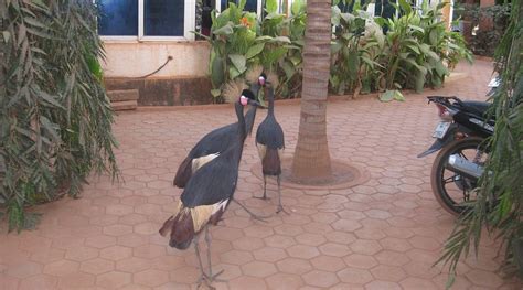 POUSGA HOTEL ANNEXE (Koudougou) - Hotel Reviews & Photos - Tripadvisor
