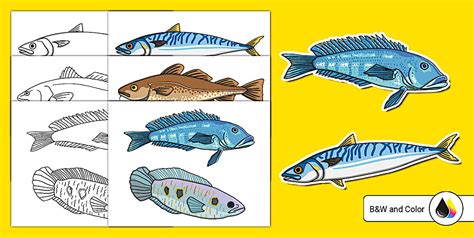 Large Fish Cutouts | World Oceans Day | Twinkl USA - Twinkl