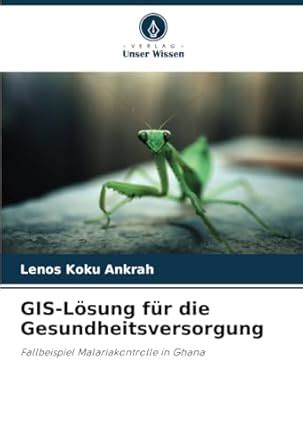 Buy GIS-Lsung fr die Gesundheitsversorgung Book Online at Low Prices in ...