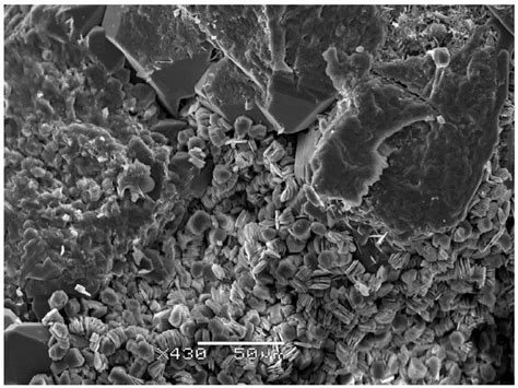Mechanisms of Injectivity Decline in Lower Jurassic Sandstones During ...