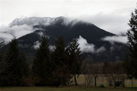 The Best Homesteading Shows on Television - Homestead Living