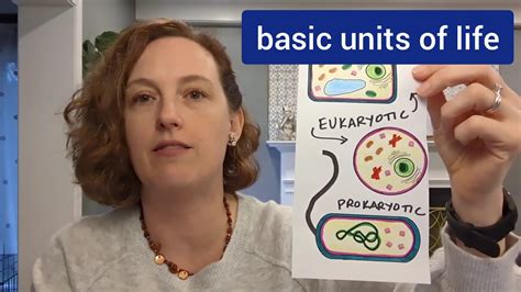 Learning Biology 的图像结果