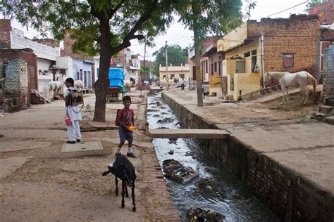 Eklavya Class 12 Geo StudyPoint 的图像结果