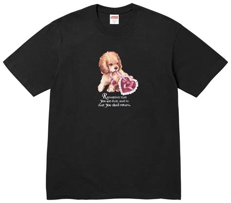 SUPREME DUST TEE BLACK MEN'S