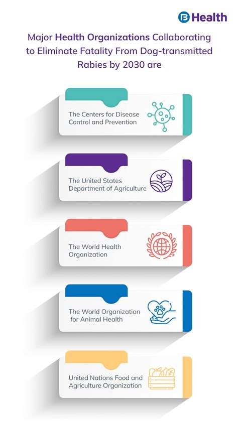 World Rabies Day 2022: Everything you Need to Know About Rabies