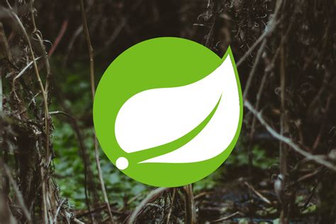 Image result for Spring Java PNG