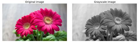 Image result for Lab On Python Image in Red Color