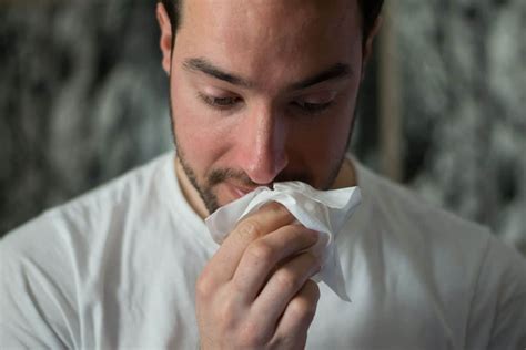 Allergische Rhinitis: Wenn die Nase läuft und läuft … - gesund-aktuell.net