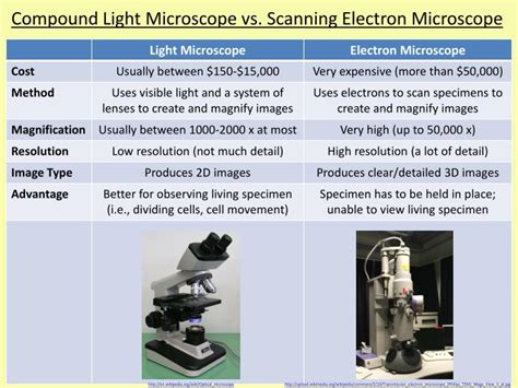 Image result for Compound vs Dissecting Microscope
