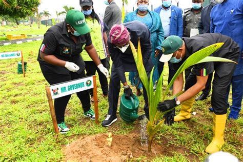 Tree-Planting Day 的图像结果
