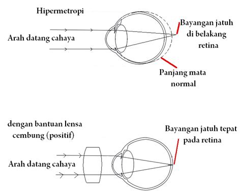 Image result for Implementation Coding Step of SDLC
