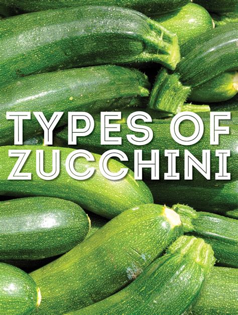 Yellow Striped Zucchini