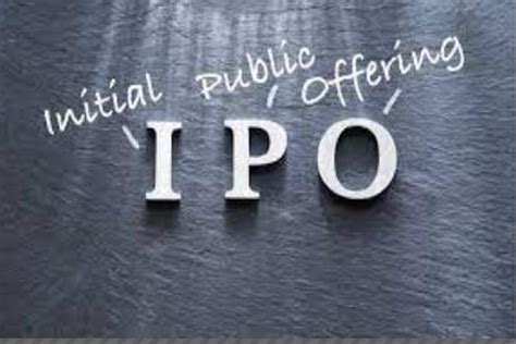 IPO 2022: Biggest, best and worst performing public issues of the year ...