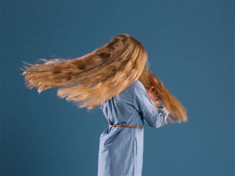 Image result for Tutorial Cat Rambut