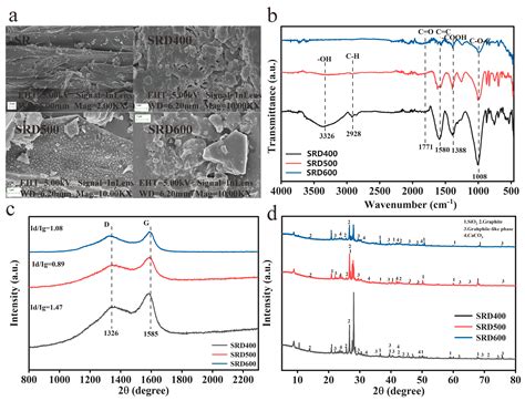 Surface Functional Evolution of Solanum rostratum Biochars Regulates ...