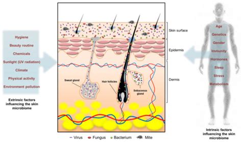The Antibiofilm Nanosystems for Improved Infection Inhibition of ...