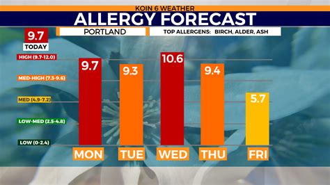 Allergies may improve this week as pollen counts go down, rain returns