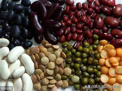 庄稼 的图像结果