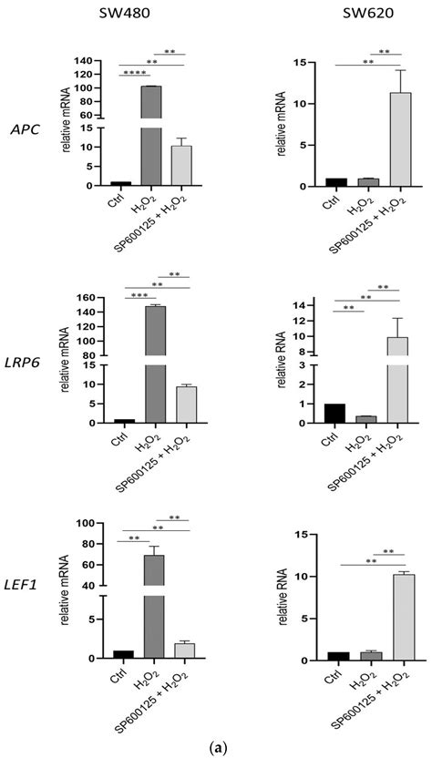 Differential Regulation of Wingless-Wnt/c-Jun N-Terminal Kinase ...