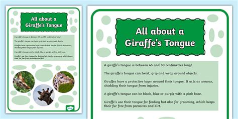 Giraffe Tongue Display Poster | KS2 (teacher made) - Twinkl