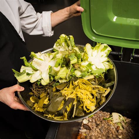 Food Waste 的图像结果