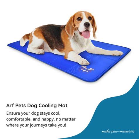 5 Best Cooling Mats for Dogs in Australia (Hot Weather Picks)