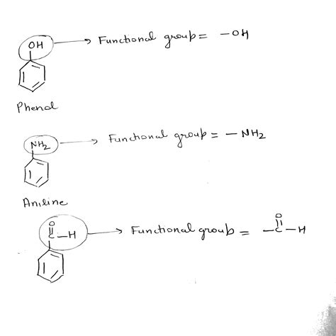 [Solved] Identify the functional groups (alkane, alkene, alkyne ...