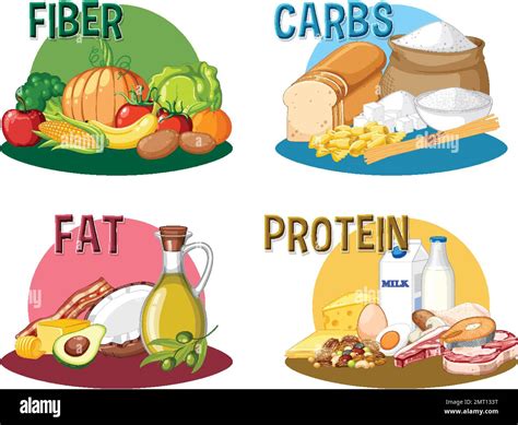 Food nutrition groups set illustration Stock Vector Image & Art - Alamy
