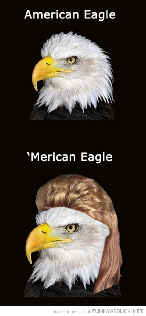 Funniest Bald Eagle Meme Compilation..America! | Funny pictures, Funny ...