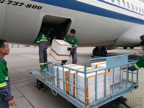 齐齐哈尔机场完成货运服务保障业务外包-中国民航网